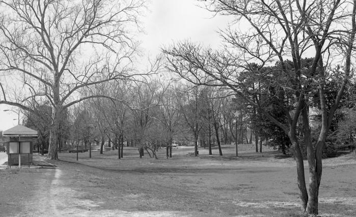 50-035 Manhattan City Park, south trail
